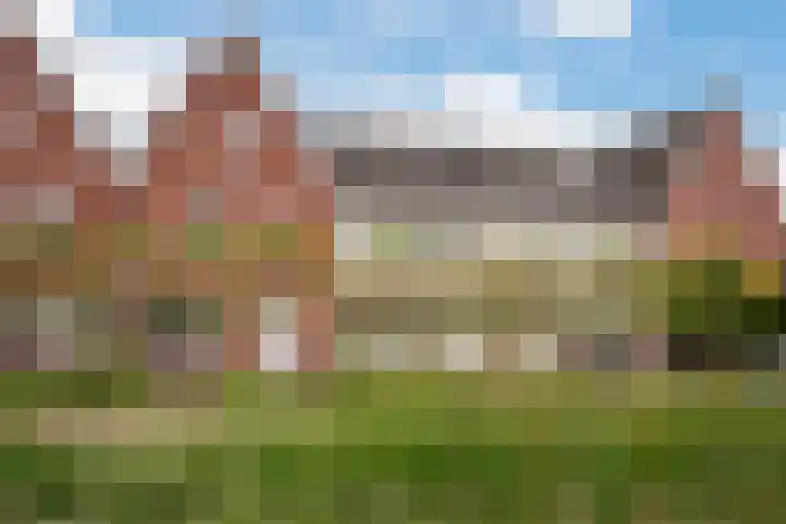 Berkenpad 25 Sint Philipsland thumbnail 6