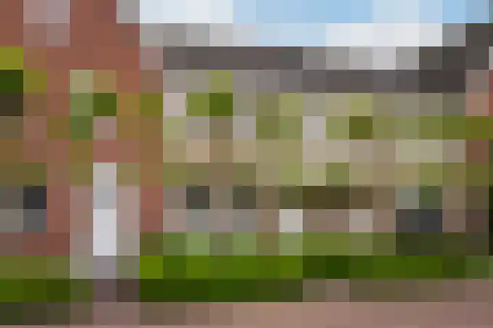 Berkenpad 25 Sint Philipsland thumbnail 7