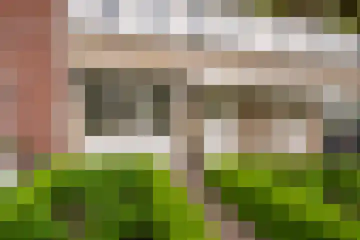 Berkenpad 25 Sint Philipsland thumbnail 8