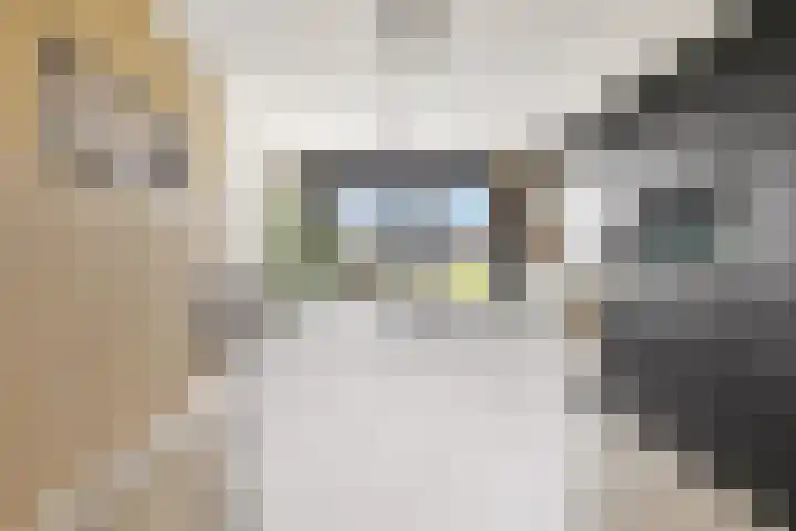 Berkenpad 25 Zeewolde thumbnail 16