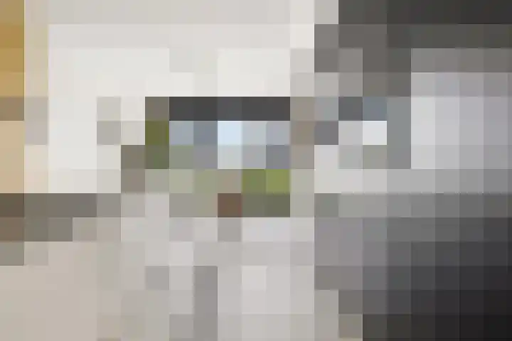 Berkenpad 25 Zeewolde thumbnail 17