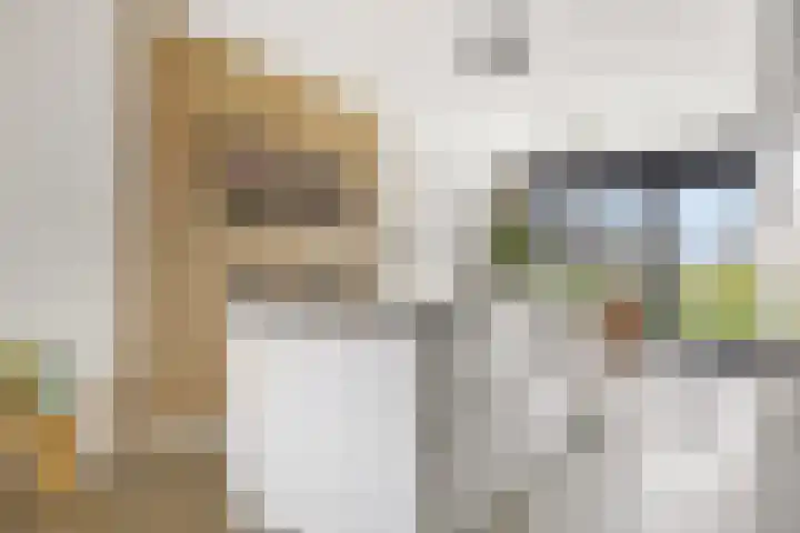 Berkenpad 25 Zeewolde thumbnail 18