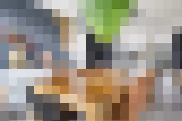Berkenpad 25 Zeewolde thumbnail 20
