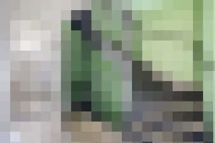Berkenpad 25 Zeewolde thumbnail 31