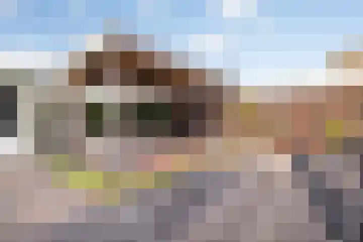 Berkenpad 25 Zeewolde thumbnail 4