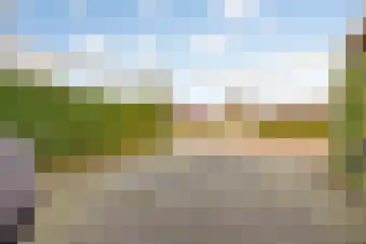 Berkenpad 25 Zeewolde thumbnail 45