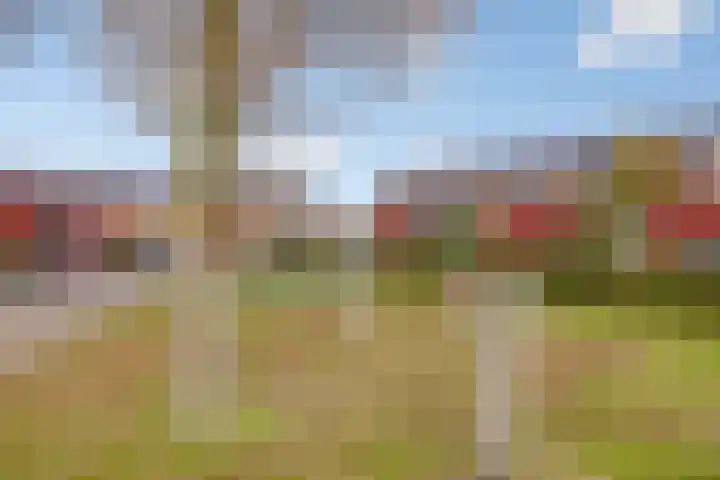 Berkenpad 25 Zeewolde thumbnail 49