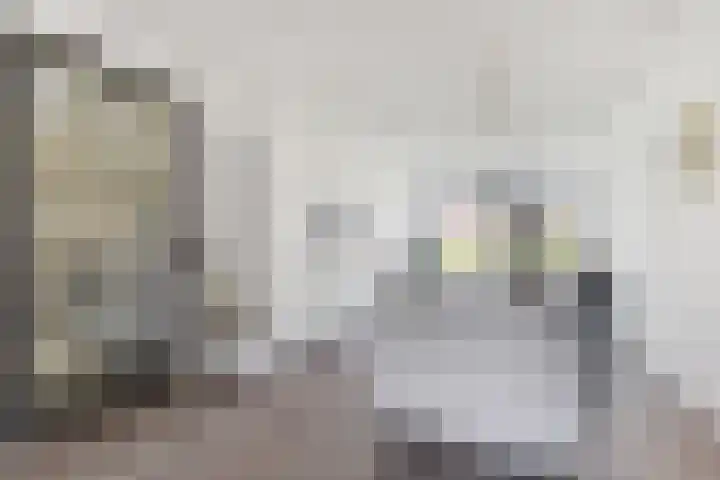 Berkenpad 3 Zeewolde thumbnail 12