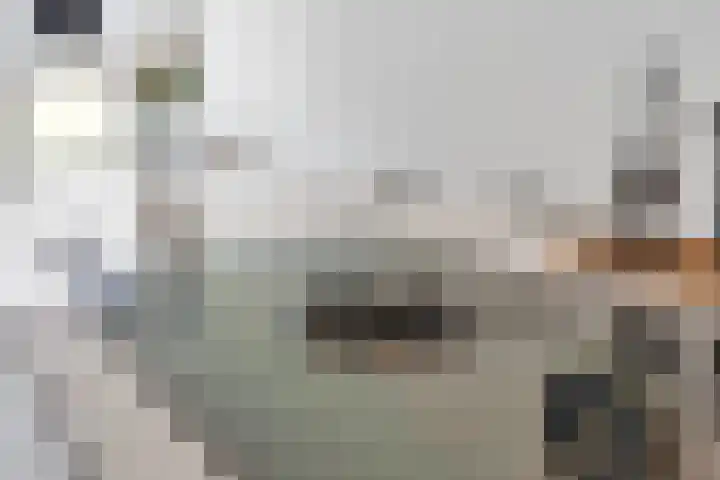Berkenpad 3 Zeewolde thumbnail 16