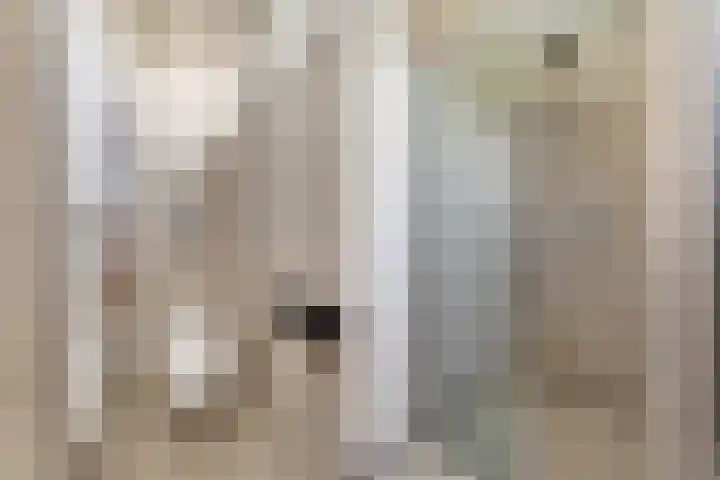 Berkenpad 3 Zeewolde thumbnail 30