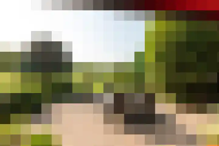 Berkenpad 3 Zeewolde thumbnail 36