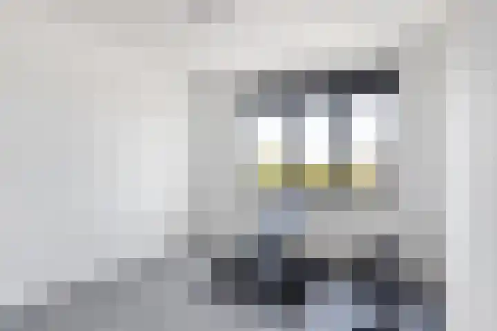 Berkenpad 3 Zeewolde thumbnail 36