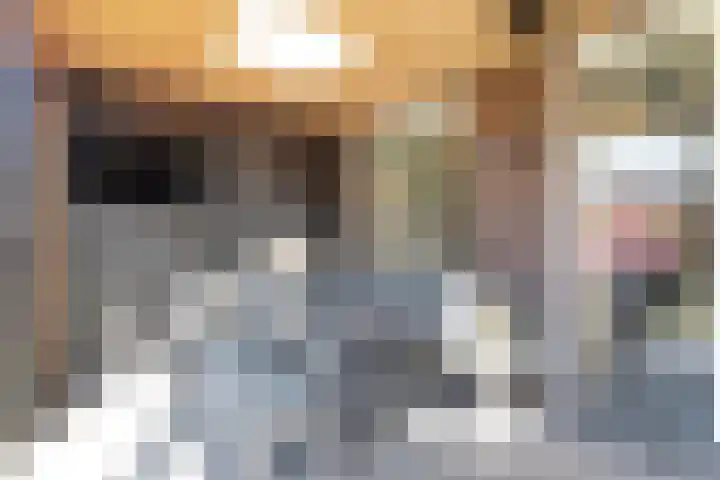 Berkenpad 3 Zeewolde thumbnail 40