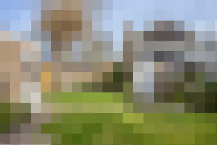 Berkenpad 3 Zeewolde thumbnail 42