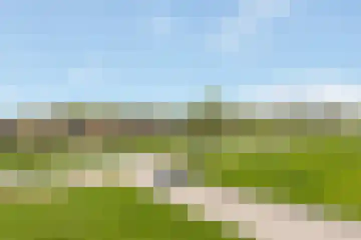 Berkenpad 3 Zeewolde thumbnail 49
