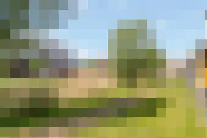 Berkenpad 3 Zeewolde thumbnail 51