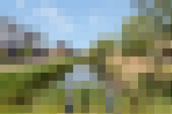 Berkenpad 3 Zeewolde thumbnail 52
