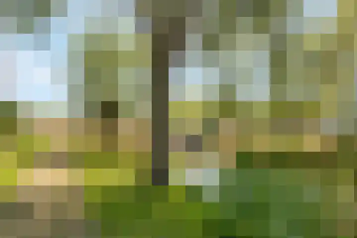 Berkenpad 3 Zeewolde thumbnail 54