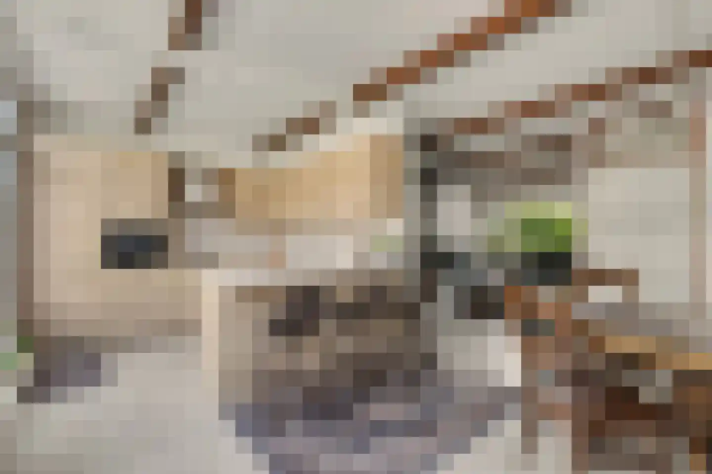 Berkenpad 5 Rijnsburg thumbnail 16