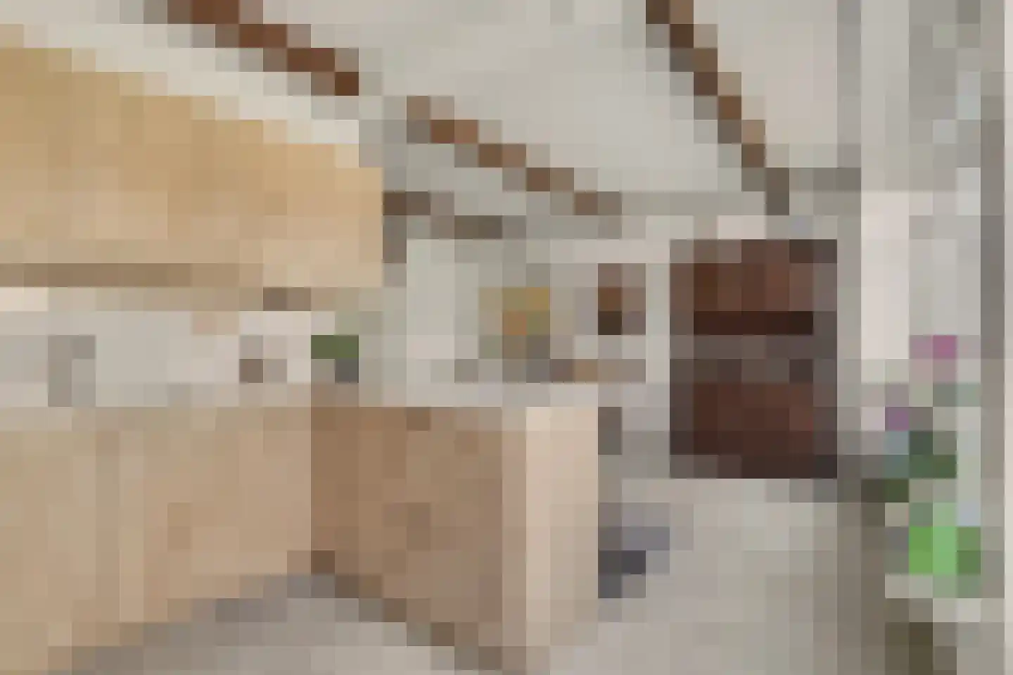 Berkenpad 5 Rijnsburg thumbnail 19