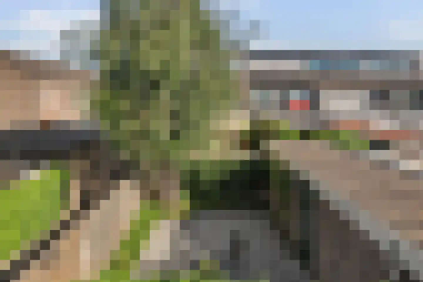 Berkenpad 5 Rijnsburg thumbnail 31