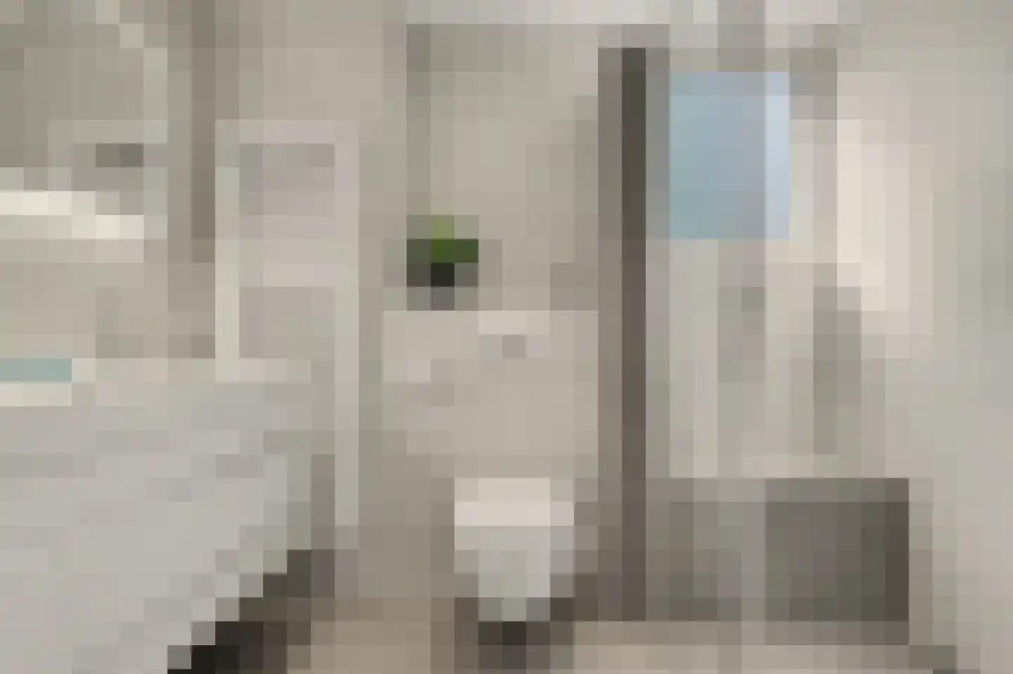 Berkenpad 5 Rijnsburg thumbnail 33