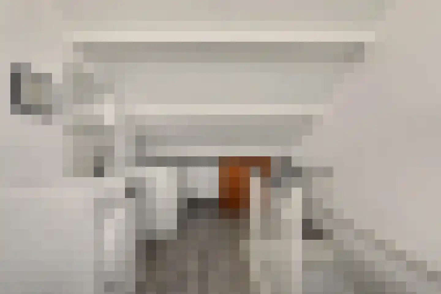 Berkenpad 5 Rijnsburg thumbnail 35