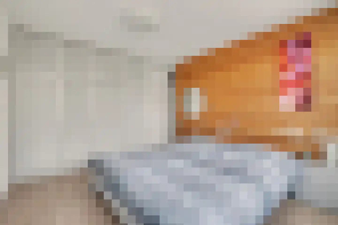 Berkenpad 5 Rijnsburg thumbnail 4