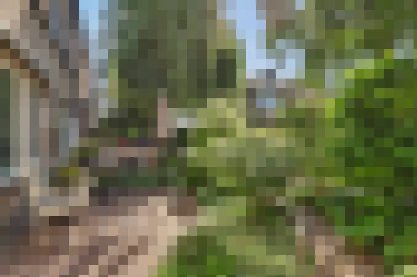 Berkenpad 5 Rijnsburg thumbnail 43