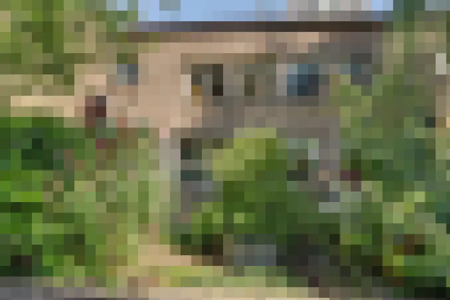 Berkenpad 5 Rijnsburg thumbnail 46