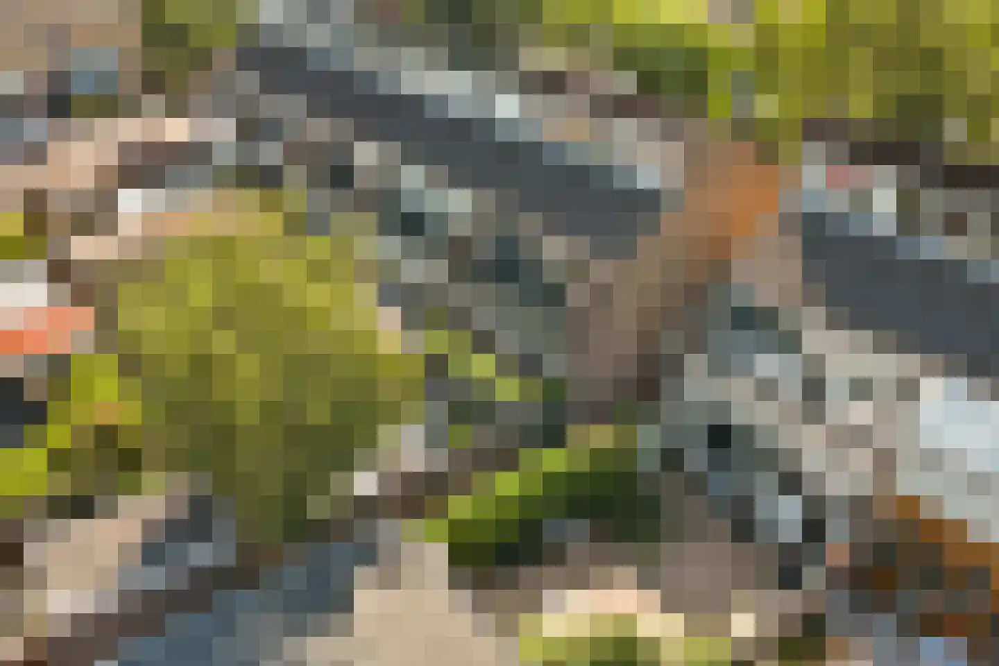 Berkenpad 5 Rijnsburg thumbnail 47