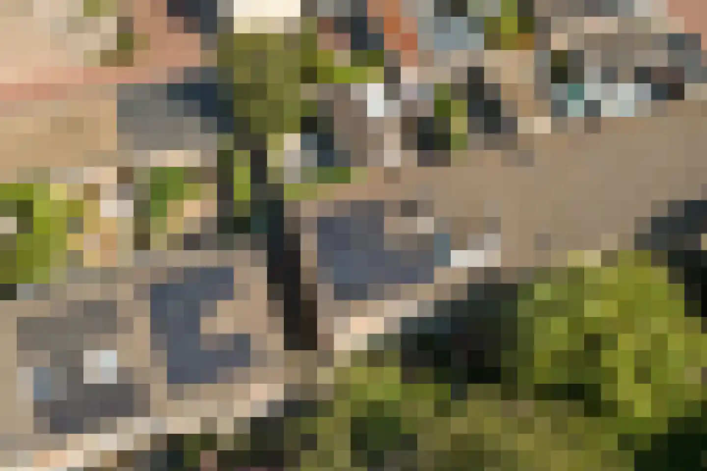 Berkenpad 5 Rijnsburg thumbnail 50