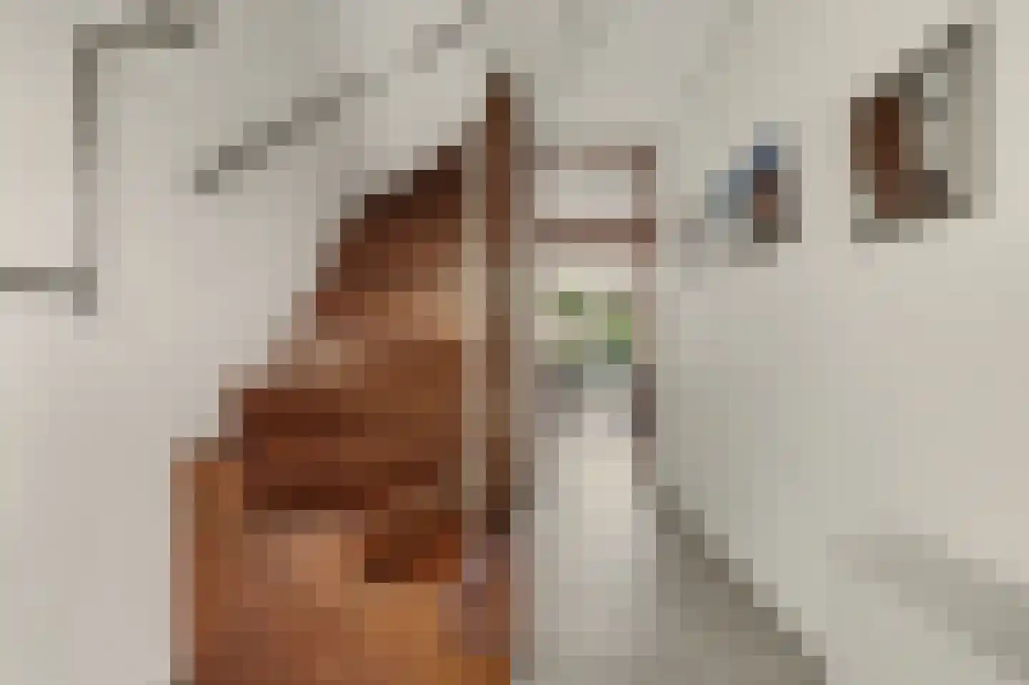 Berkenpad 5 Rijnsburg thumbnail 9