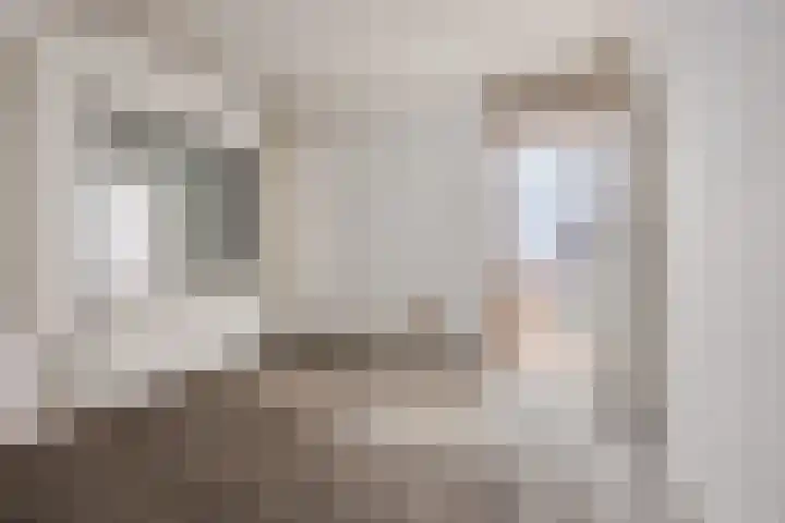 Berkenpad 7 Rijnsburg thumbnail 20