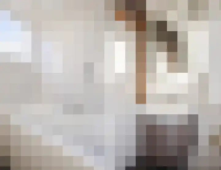Berkenpad 7 Rijnsburg thumbnail 22