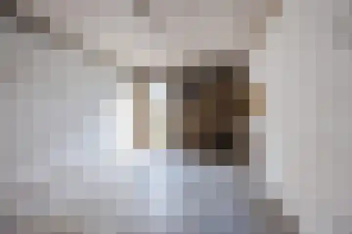 Berkenpad 7 Rijnsburg thumbnail 29