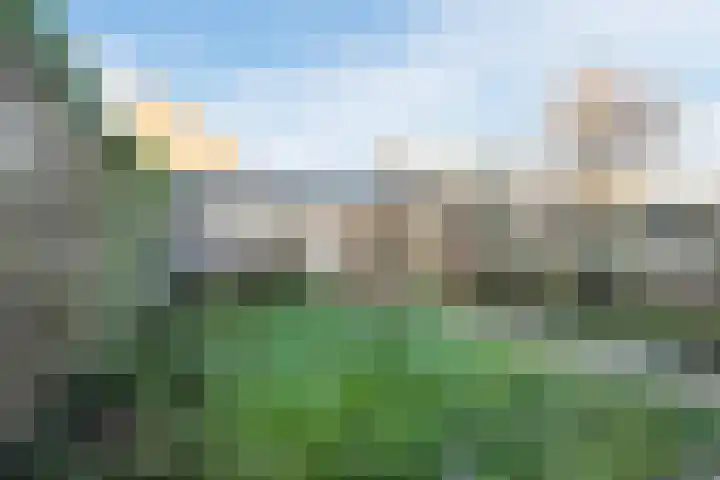 Berkenpad 7 Rijnsburg thumbnail 32