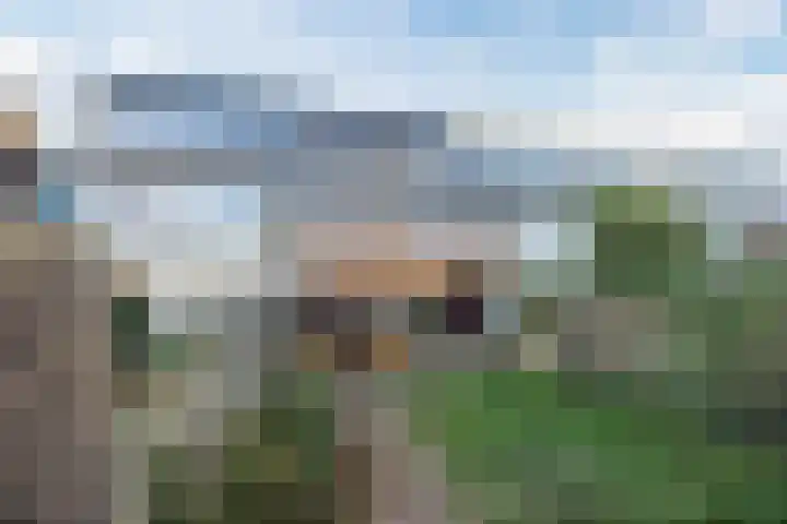 Berkenpad 7 Rijnsburg thumbnail 33