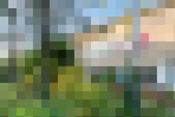 Berkenpad 7 Rijnsburg thumbnail 36