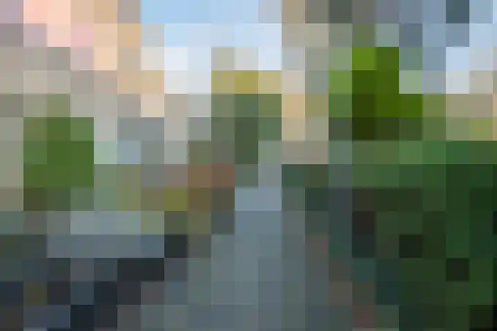 Berkenpad 7 Rijnsburg thumbnail 37