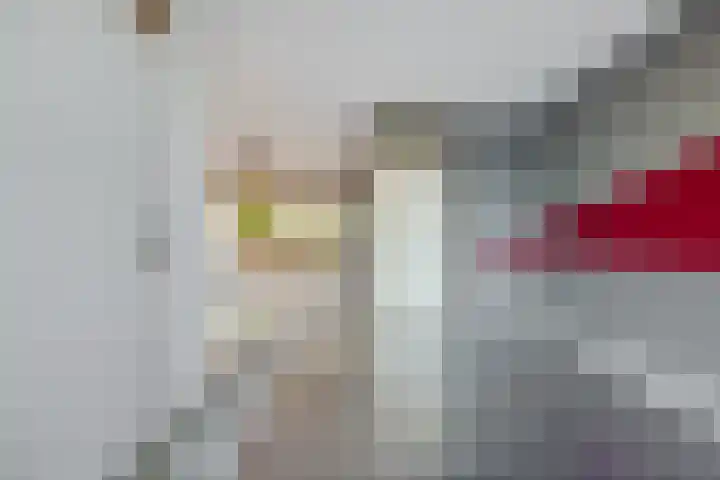 Berkenpad 7 Rijnsburg thumbnail 9