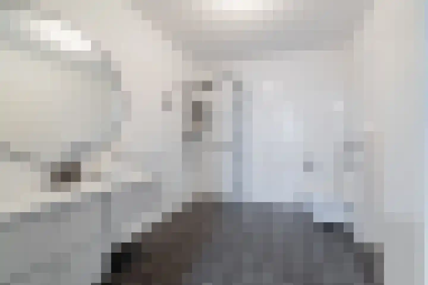 Berkenplein 214 Diemen thumbnail 22