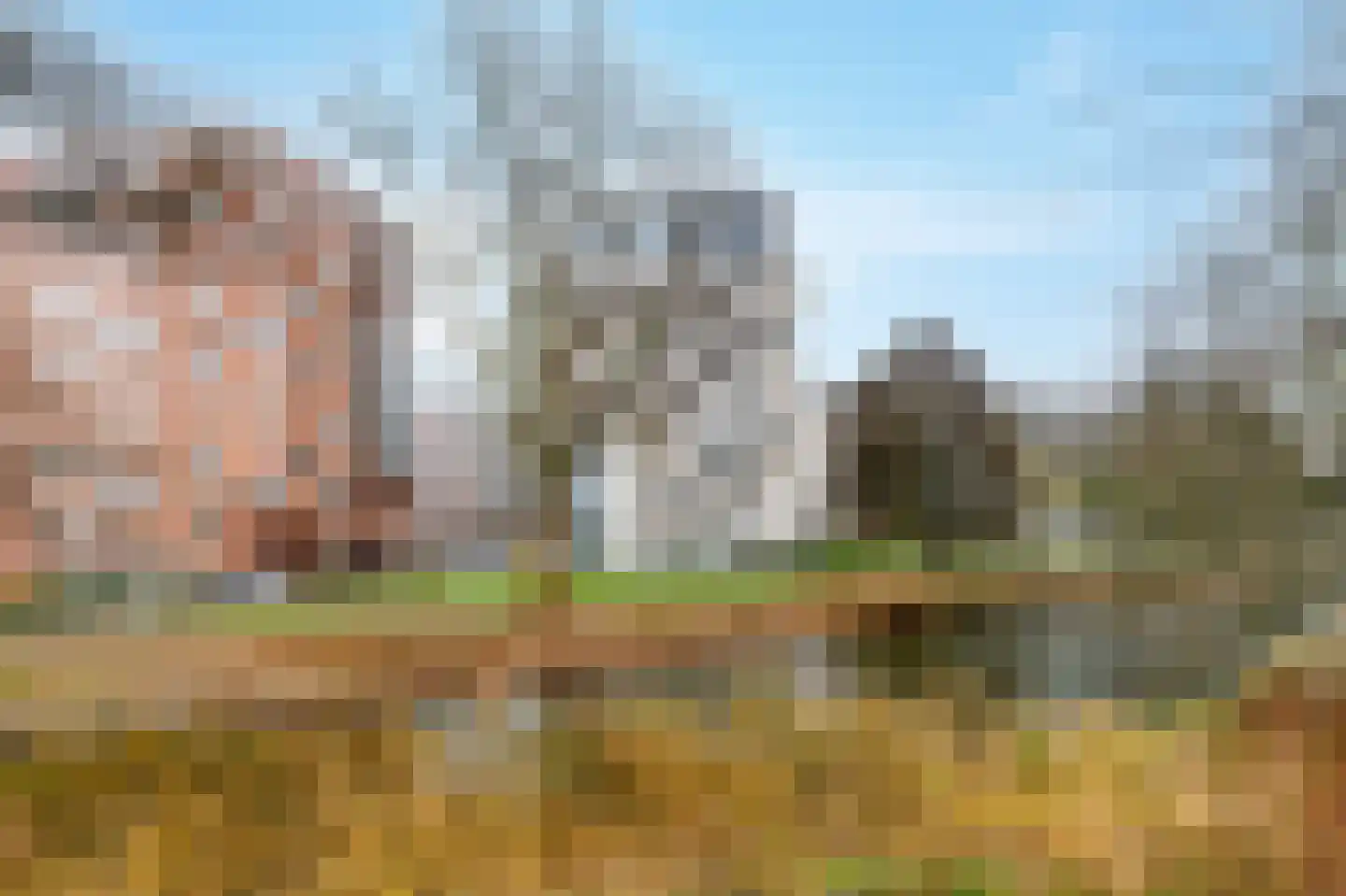 Berkenplein 214 Diemen thumbnail 35