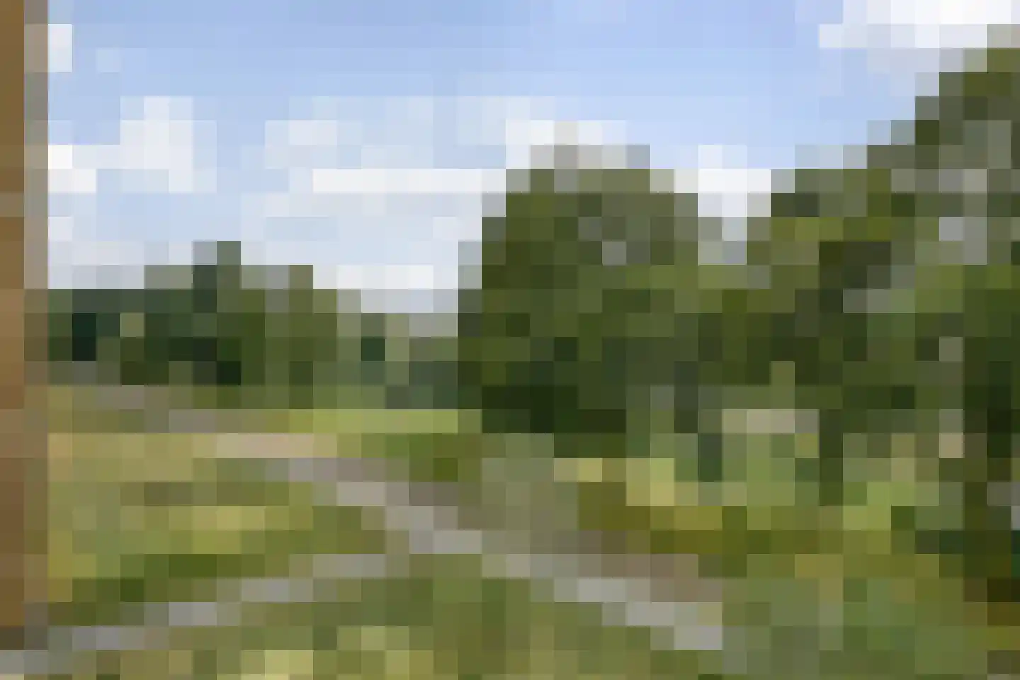 Berkenplein 214 Diemen thumbnail 42