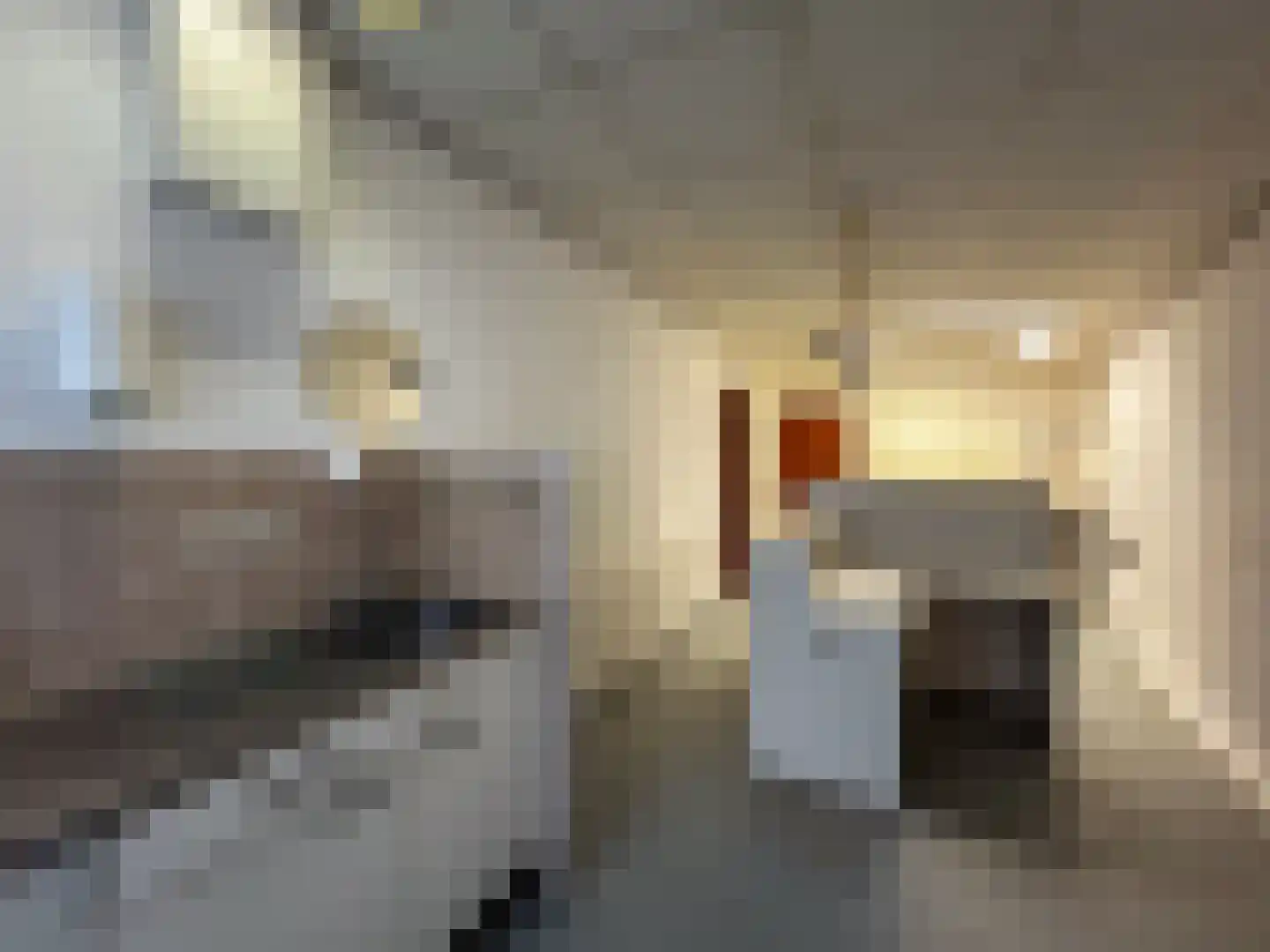 Berkenring 59 Zundert thumbnail 19