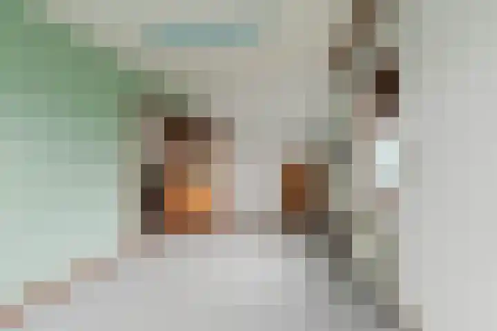 Berkenring 59 Zundert thumbnail 34