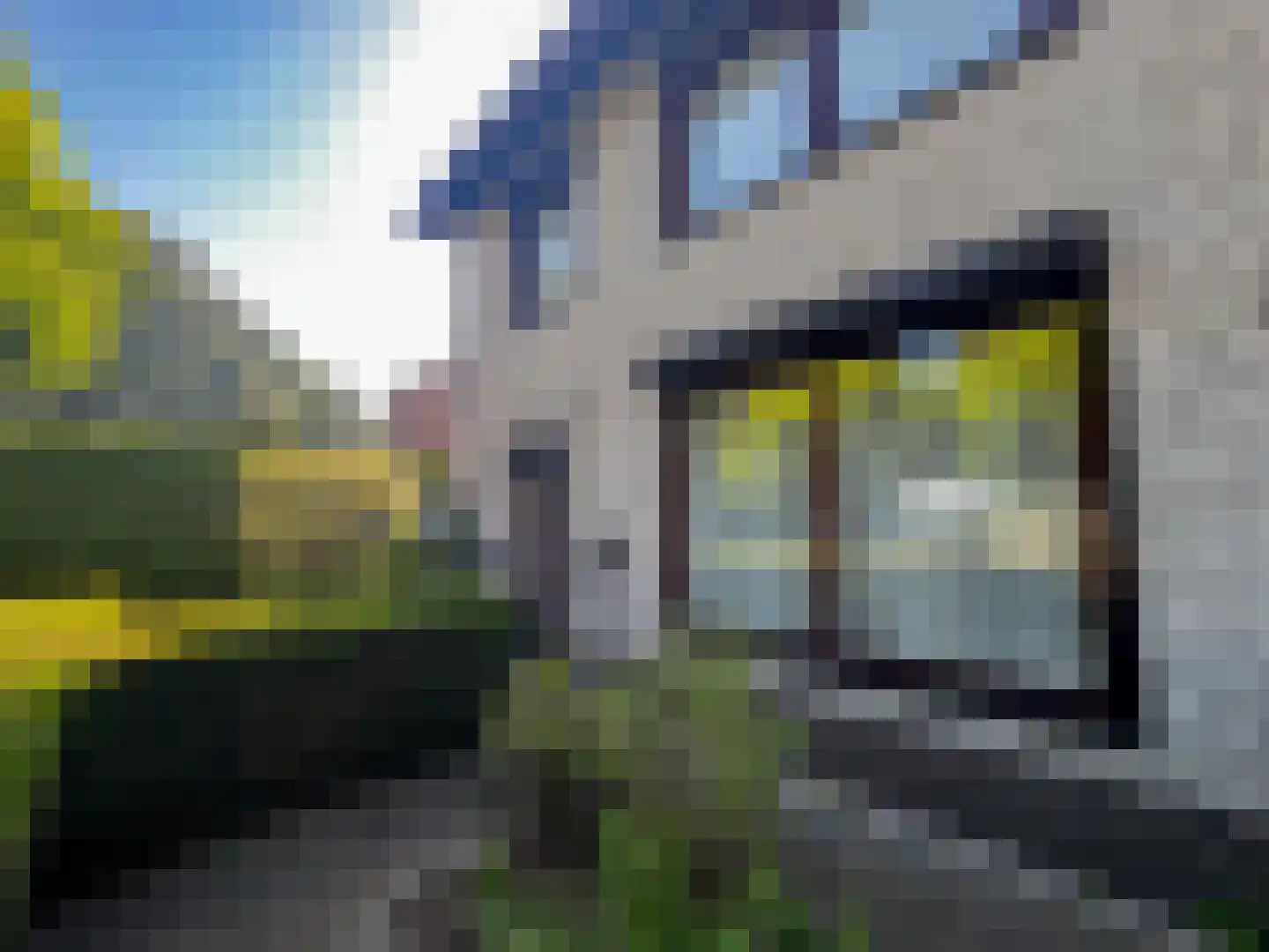 Berkenring 59 Zundert thumbnail 38