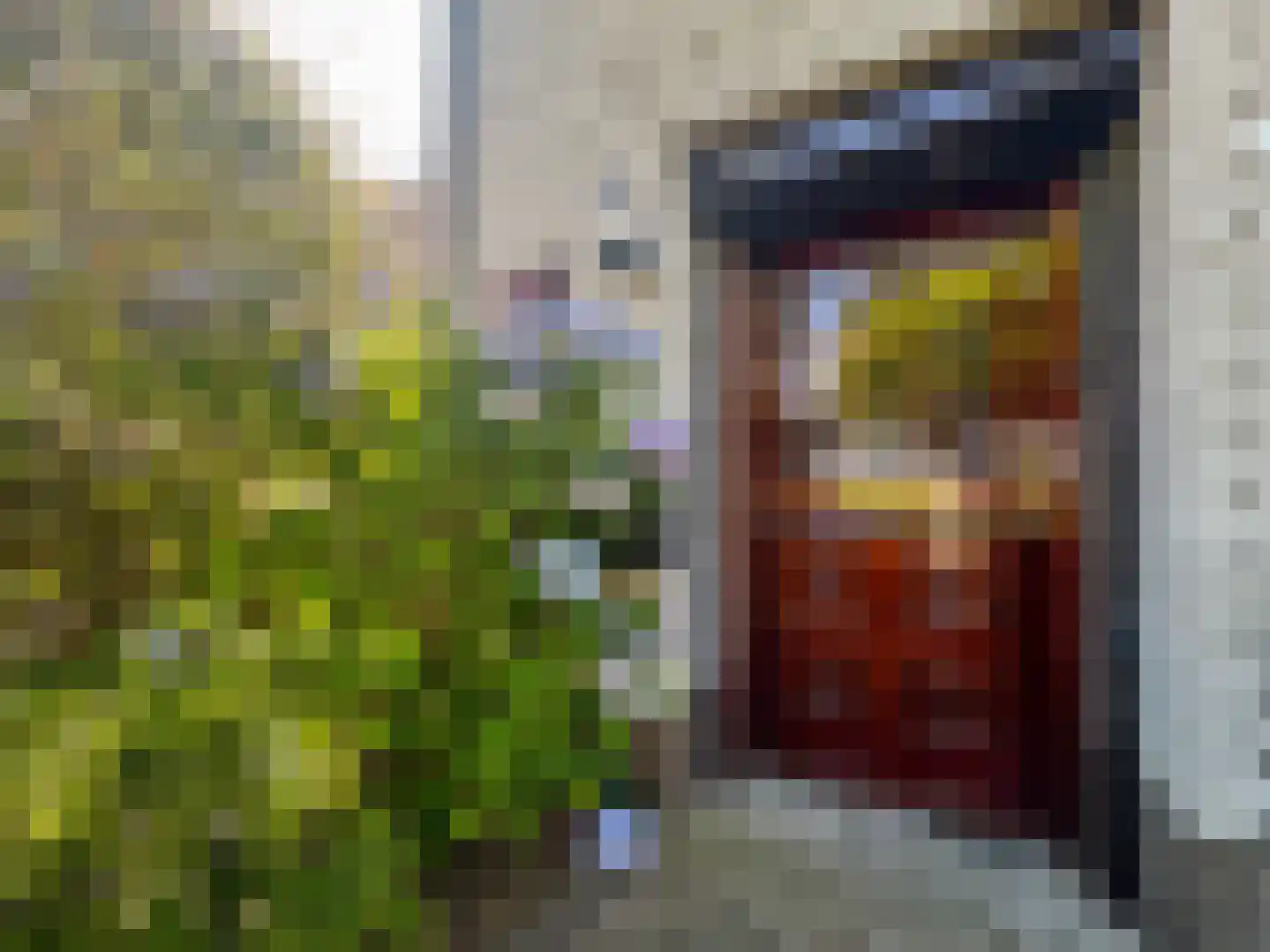 Berkenring 59 Zundert thumbnail 7