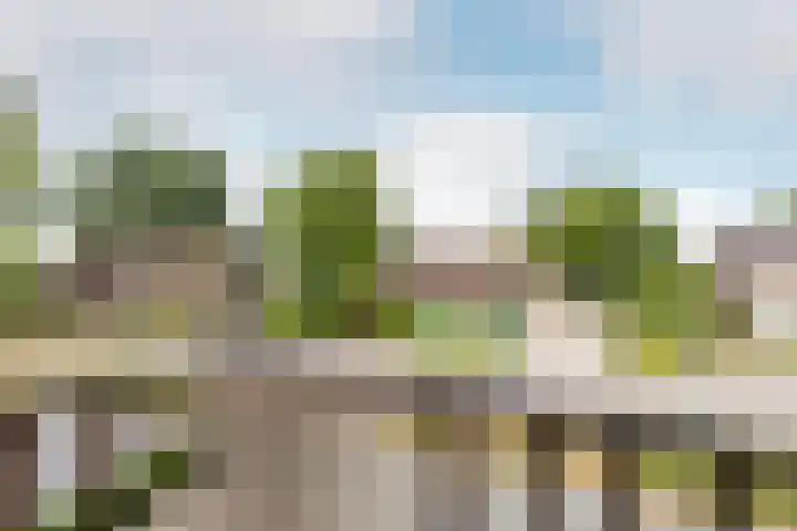 Berkenring 65 Zundert thumbnail 16