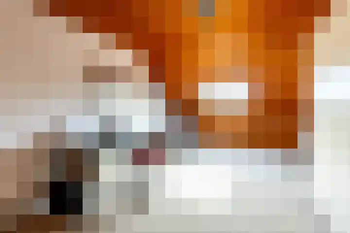 Berkenring 65 Zundert thumbnail 20